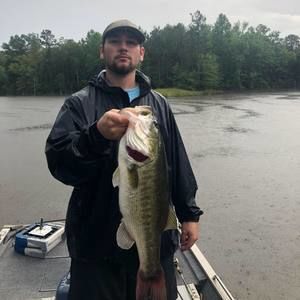 Meet your Posher, Cole